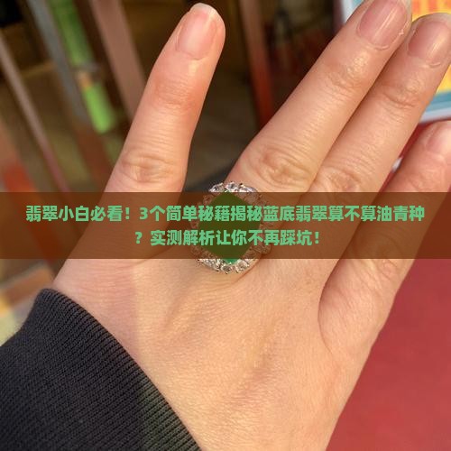 蓝底翡翠也算油青种吗