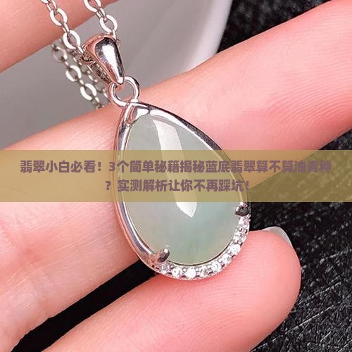 蓝底翡翠也算油青种吗
