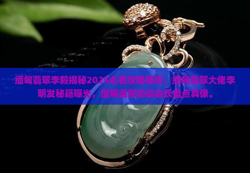 缅甸翡翠李毅