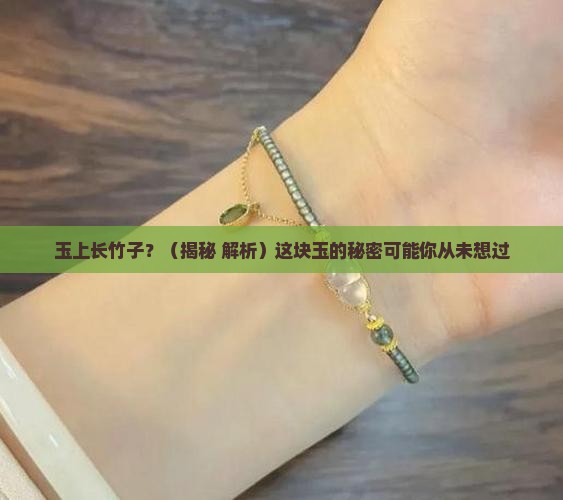 玉上面有竹子 玉上面有竹子