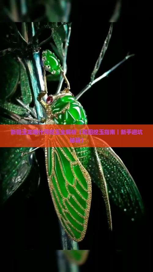 新疆玉龙喀什河古河挖玉