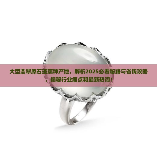 大型翡翠原石玻璃种产地