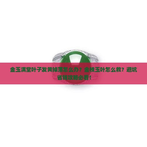 金玉满堂叶子发黄掉落怎么办