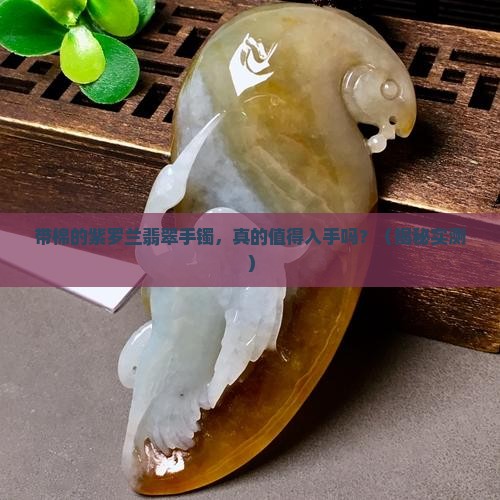 带棉的紫罗兰翡翠手镯