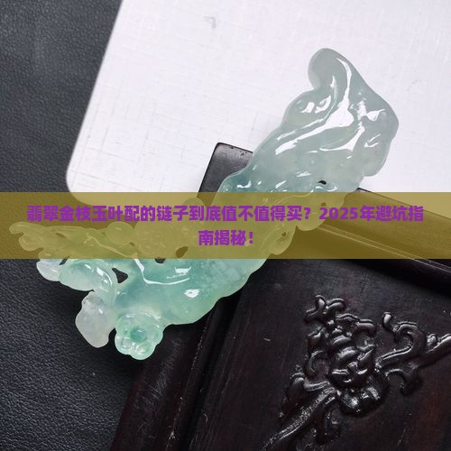 翡翠金枝玉叶配的链子