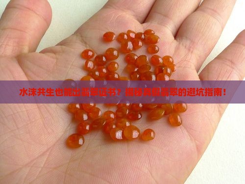 水沫共生可以出翡翠证书吗
