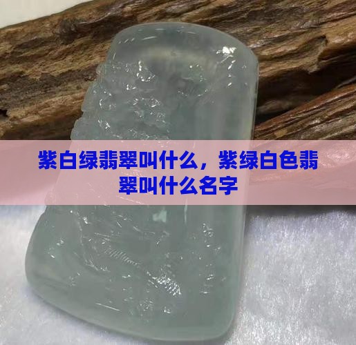 紫白绿翡翠叫什么
