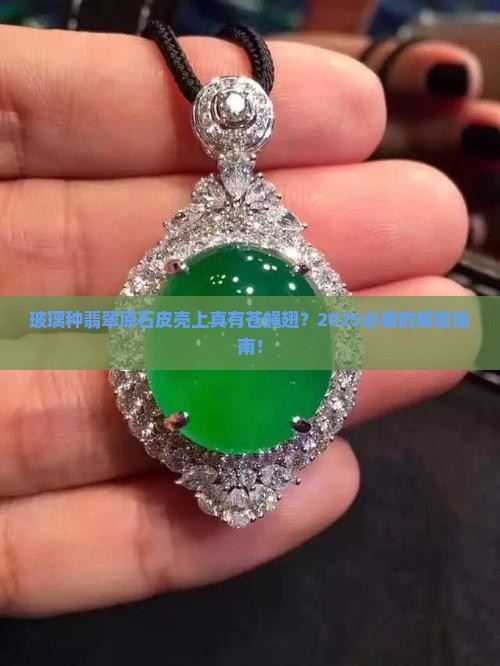 玻璃种翡翠原石皮壳上有苍蝇翅吗