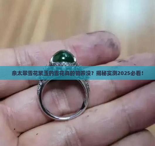 佘太翠雪花紫玉的雪花可以养没吗