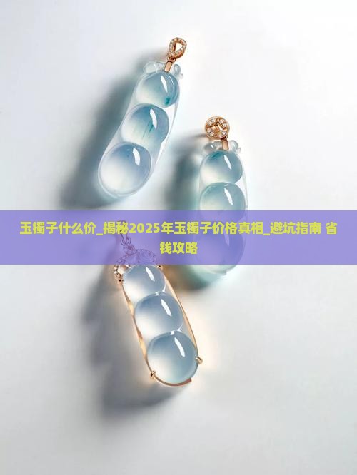 玉镯子什么价