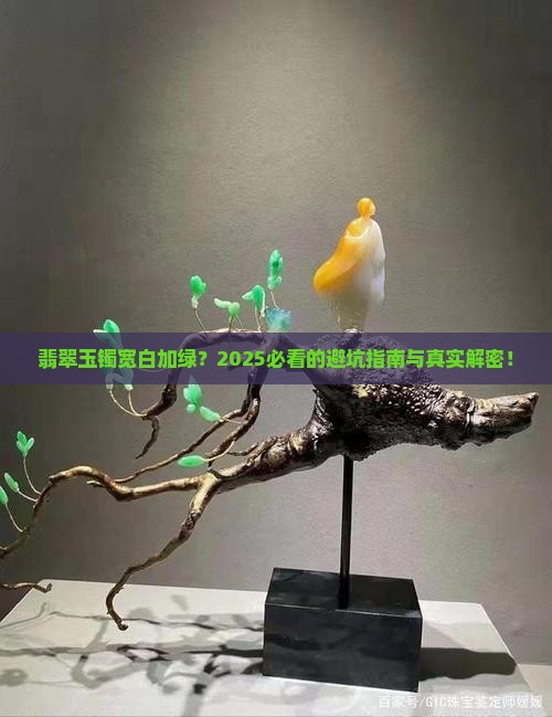 翡翠玉镯宽白加绿