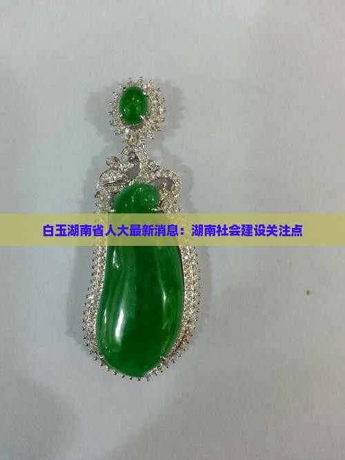 唐白玉最新消息