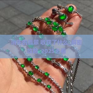 消失的翡翠收获了什么