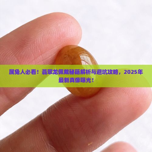 属兔的可以带翡翠龙吗