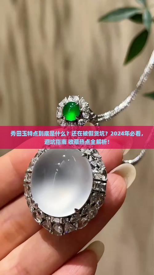 秀田玉特点