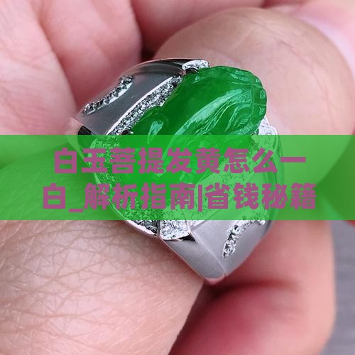 白玉菩提发黄怎么一白 白玉菩提发黄怎么一白