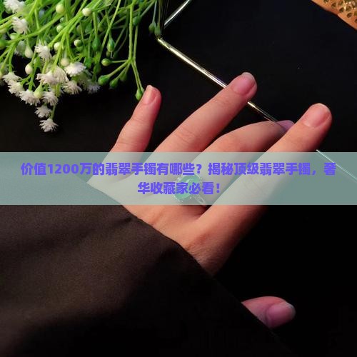 价值1200万的翡翠手镯有哪些