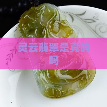 灵云翡翠是真的吗