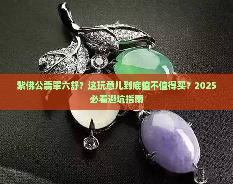 紫佛公翡翠六舒