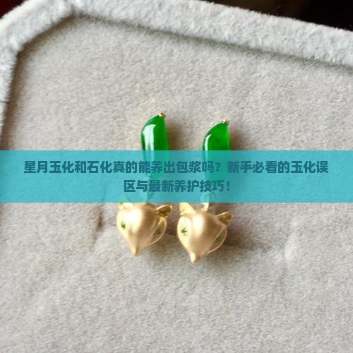 星月玉化和石化