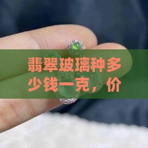 翡翠玻璃种多少钱一克，价格及极品价值探究