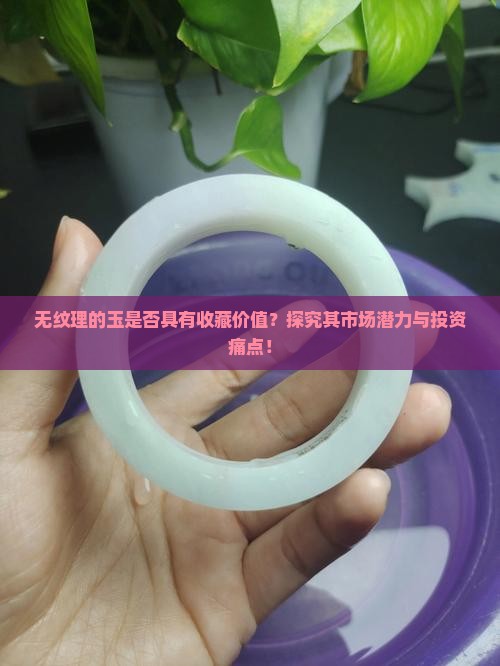 无纹理的玉是否具有收藏价值？探究其市场潜力与投资痛点！
