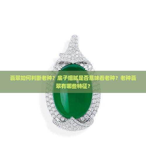 翡翠如何判断老种？底子细腻是否意味着老种？老种翡翠有哪些特征？