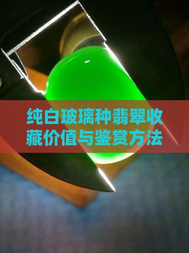 纯白玻璃种翡翠收藏价值与鉴赏方法探讨