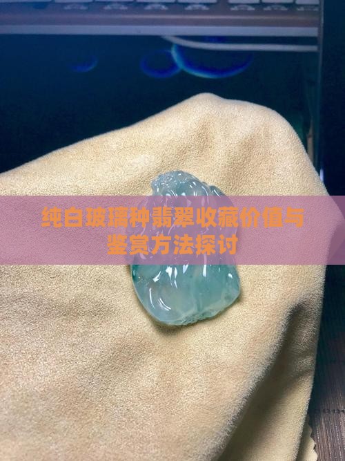 纯白玻璃种翡翠收藏价值与鉴赏方法探讨