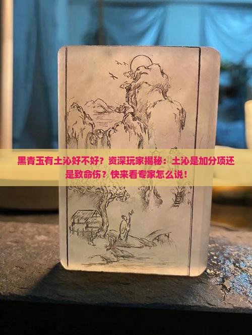 黑青玉有土沁好不好？资深玩家揭秘：土沁是加分项还是致命伤？快来看专家怎么说！