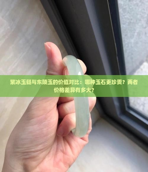 紫冰玉髓与东陵玉的价值对比：哪种玉石更珍贵？两者价格差异有多大？