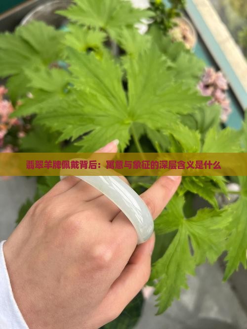 翡翠羊牌佩戴背后：寓意与象征的深层含义是什么