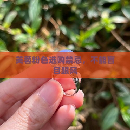 芙蓉粉色选购禁忌,不能盲目跟风 芙蓉粉色选购禁忌,不能盲目跟风