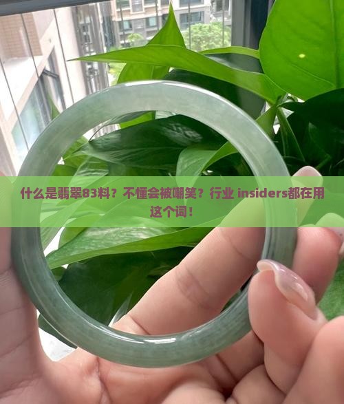 什么是翡翠83料？不懂会被嘲笑？行业 insiders都在用这个词！