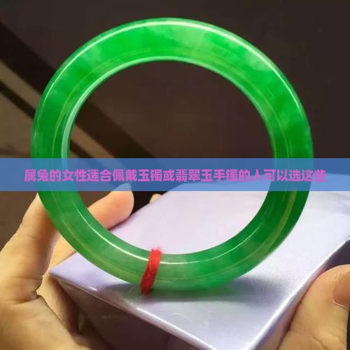 属兔的女性适合佩戴玉镯或翡翠玉手镯的人可以选这些