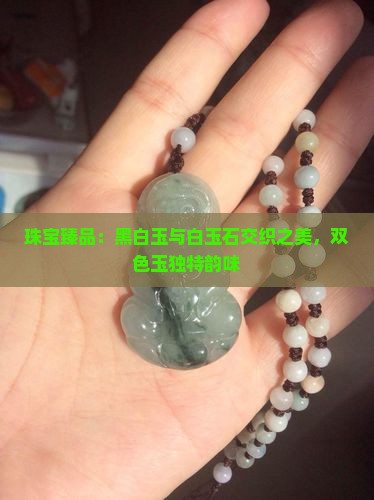 珠宝臻品：黑白玉与白玉石交织之美，双色玉独特韵味