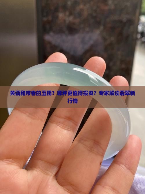 黄翡和带春的玉镯？哪种更值得投资？专家解读翡翠新行情