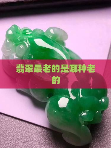翡翠最老的是哪种老的