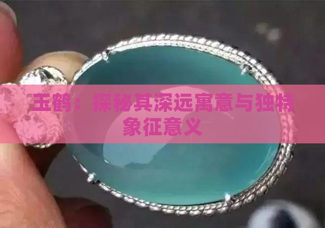 玉鹤：探秘其深远寓意与独特象征意义