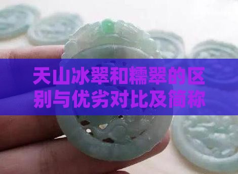 天山冰翠和糯翠的区别与优劣对比及简称辨析
