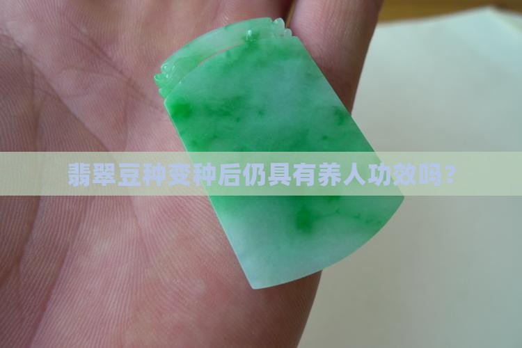 翡翠豆种变种后仍具有养人功效吗？
