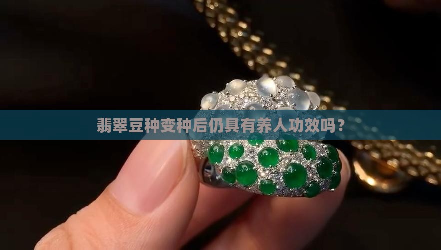 翡翠豆种变种后仍具有养人功效吗？