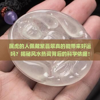 属虎的人佩戴紫翡翠真的能带来好运吗？揭秘风水热词背后的科学依据！