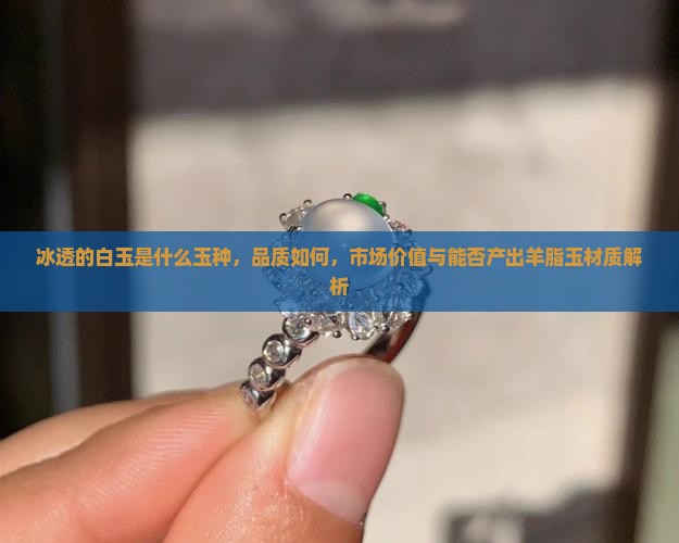 冰透的白玉是什么玉种，品质如何，市场价值与能否产出羊脂玉材质解析