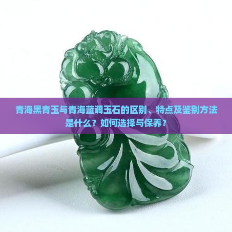 青海黑青玉与青海蓝调玉石的区别、特点及鉴别方法是什么？如何选择与保养？