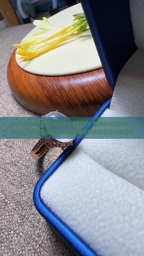 如何准确辨别翡翠细糯种与粗糯种？细糯种和粗糯种翡翠的特征及区别是什么？如何通过外观和质地判断翡翠糯种？