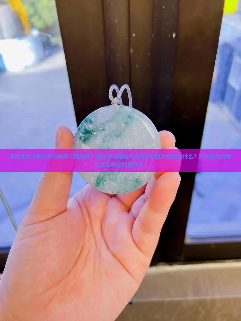 如何准确辨别翡翠细糯种与粗糯种？细糯种和粗糯种翡翠的特征及区别是什么？如何通过外观和质地判断翡翠糯种？