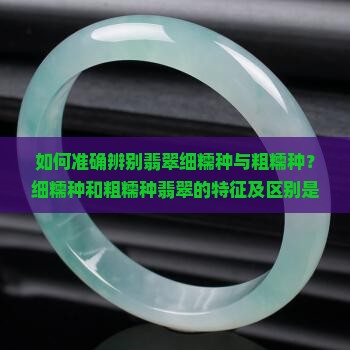 如何准确辨别翡翠细糯种与粗糯种？细糯种和粗糯种翡翠的特征及区别是什么？如何通过外观和质地判断翡翠糯种？