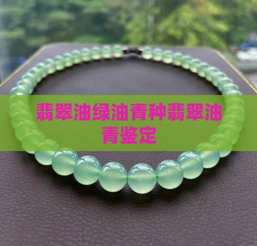 翡翠油绿油青种翡翠油青鉴定