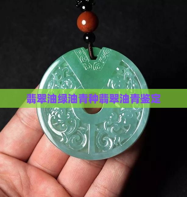 翡翠油绿油青种翡翠油青鉴定